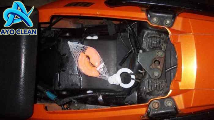 Cara Mengusir Tikus Dari Dek Motor Matic #shorts - YouTube