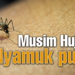 Cara menghilangkan jentik nyamuk di bak mandi