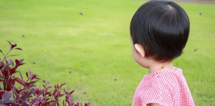 Cara menghilangkan gigitan nyamuk