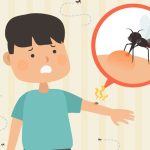 Cara mencegah perkembangbiakan nyamuk