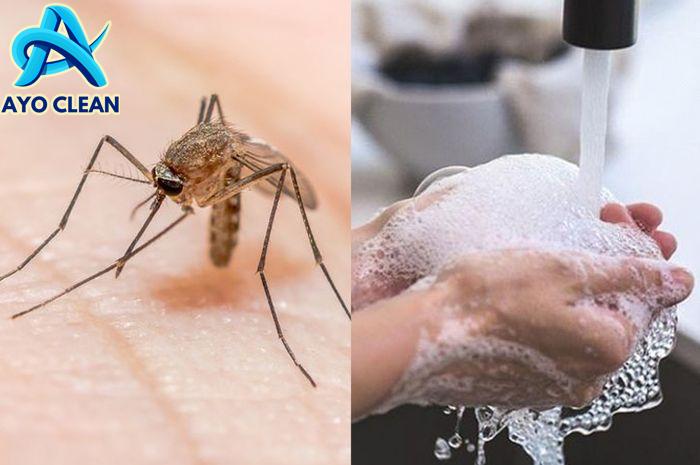 Jangan Sampai Jadi Sarang Nyamuk, Cukup Gunakan Air Sabun Bisa Bantu ...