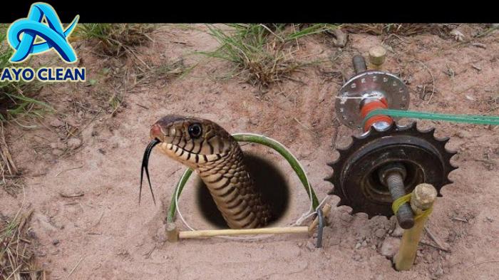 Cara Menyelamatkan Diri Saat Gempa Bumi - PPID Provinsi Lampung