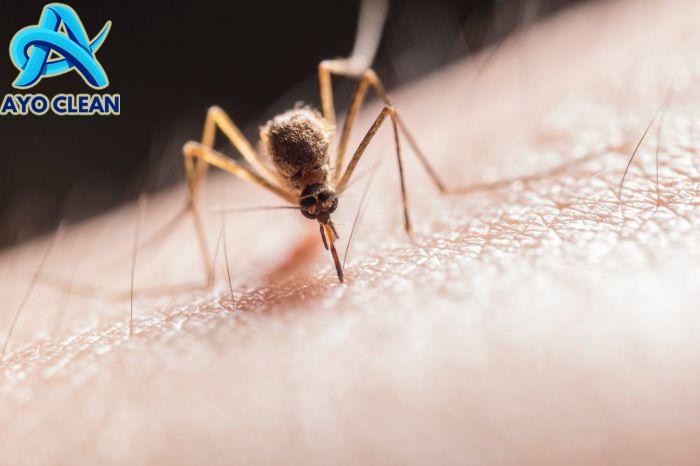 Gatal dan Jadi Tak Nyaman, Ini 6 Cara Hilangkan Bentol Gigitan Nyamuk ...