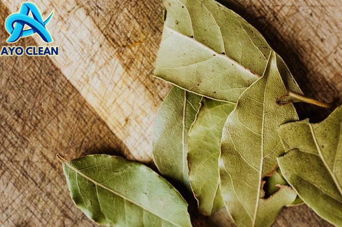 3 Bahan Alami yang Ampuh Mengusir Kecoak di Rumah, Ada Daun Salam ...