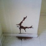 Cara Menghilangkan Rayap di Tembok Dinding Lemari | Fumida