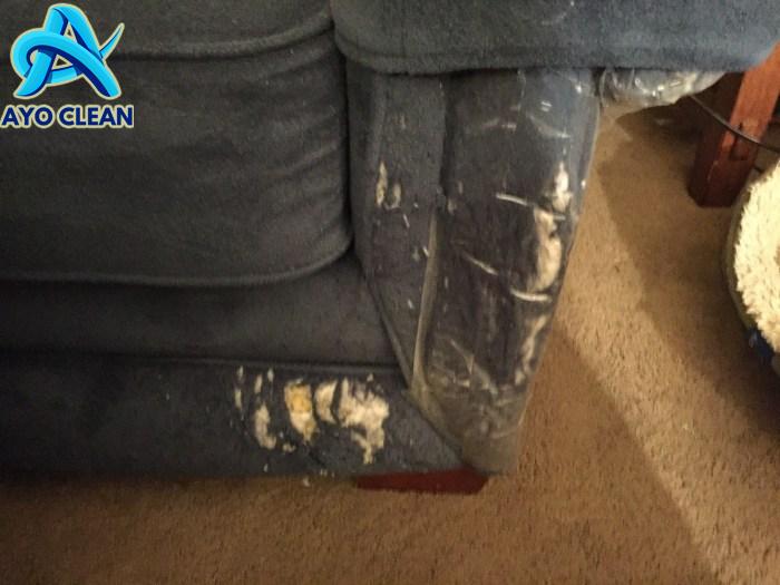 Cara memperbaiki sofa yang dicakar kucing