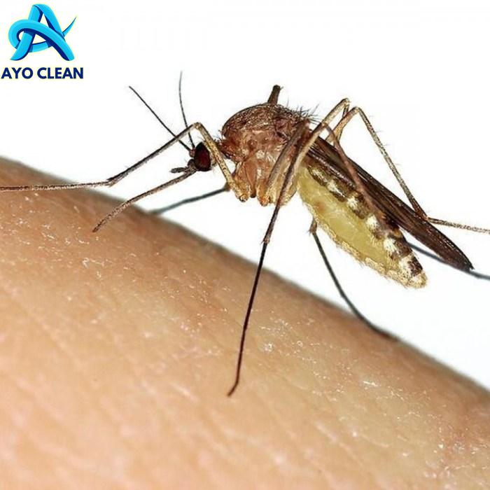 8 Cara Mengusir Nyamuk di Kamar, Mudah Dilakukan!