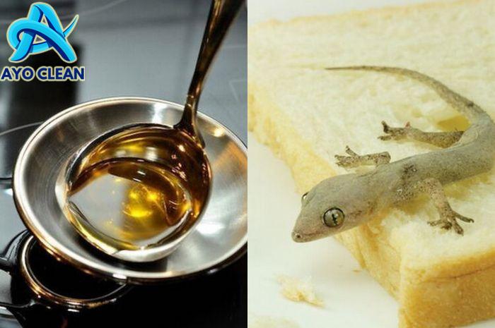 Pusing Cari Cara Usir Cicak di Rumah, Tahunya Cuma Modal Minyak Goreng ...