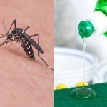 Tetangga sampai Kaget Nyamuk di Rumah Tiba-tiba Lenyap, Ternyata Cuma ...