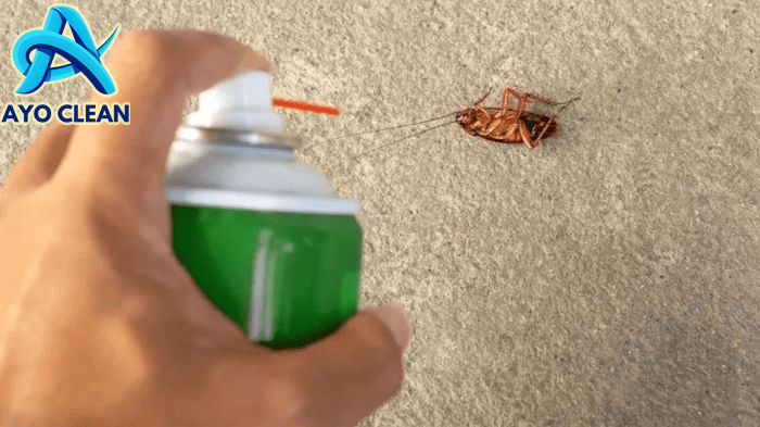 Lebih Aman, Ini 5 Cara Mengusir Kecoa dengan Bahan Alami
