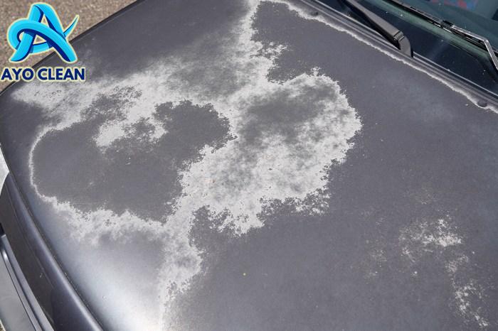 How To Restore Old Black Car Paint at Mildred Urban blog