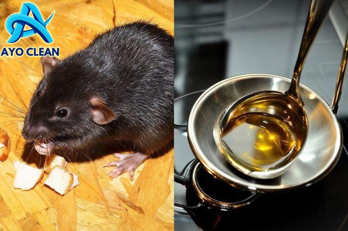 Berita Mengusir Tikus Dari Rumah Terbaru Hari Ini - Grid.ID