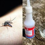 Cara Mengusir Nyamuk Paling Ampuh Cuma Pakai Campuran Garam dan Obat ...