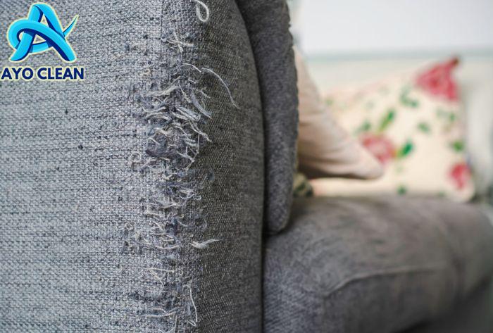 Cat owner shared remarkable transformation photo after reviving their ...